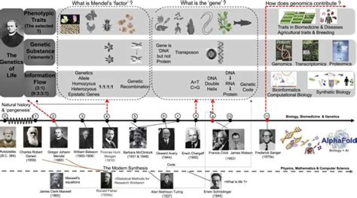 How has the study of genetics changed over time?