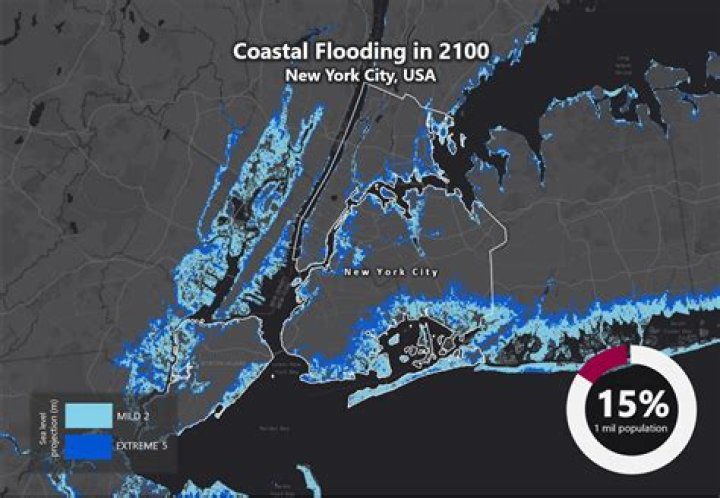 How high will the sea level rise by 2050?