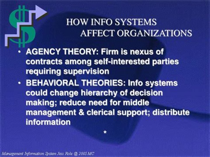 How information system affect organizations?