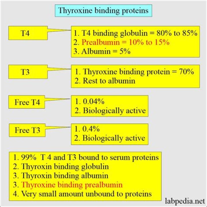 How is T3 and T4 produced?