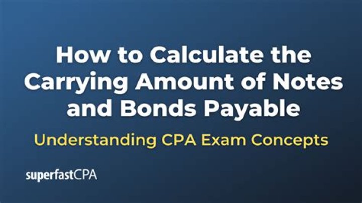 How is the carrying amount of a loan calculated?