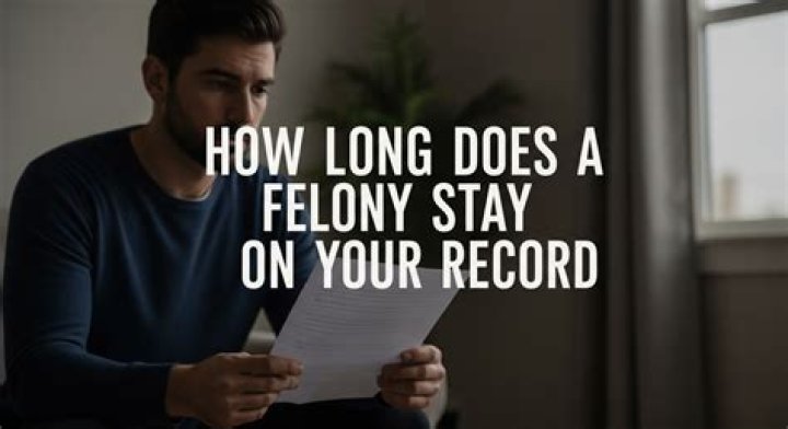How long does a theft felony stay on your record?