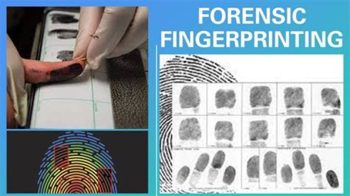 How long does it take for fingerprints to clear for a job?