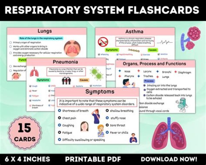 How long does it take to study respiratory therapy?