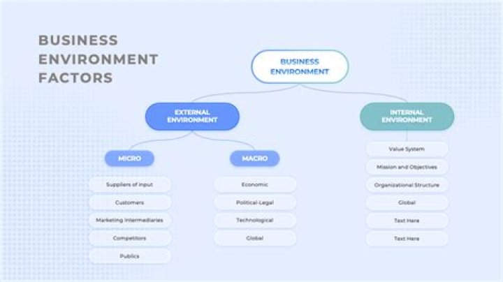 How many classification are there in business environment?