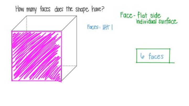 How many faces does coin have?