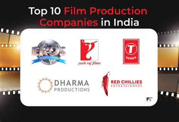 How many film production companies are there?