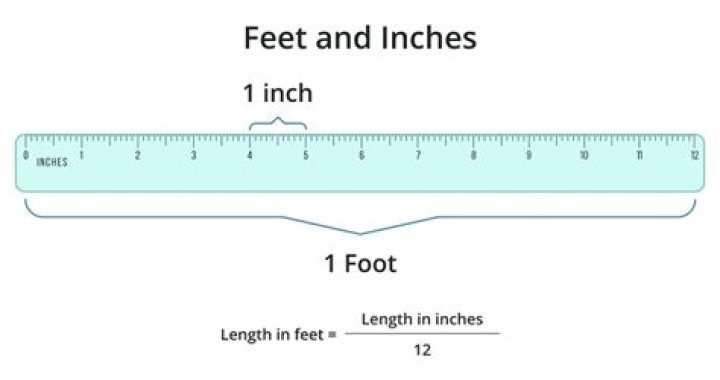 How many inches is 3 feet?