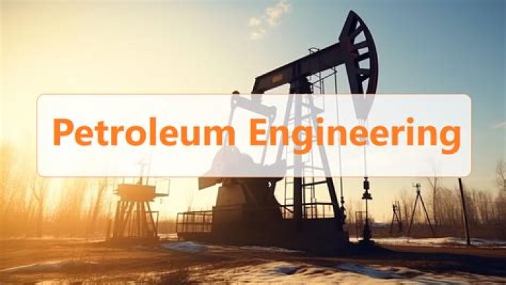 How many people become petroleum engineers?