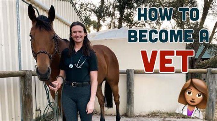 How many years does it take to become a equine vet?