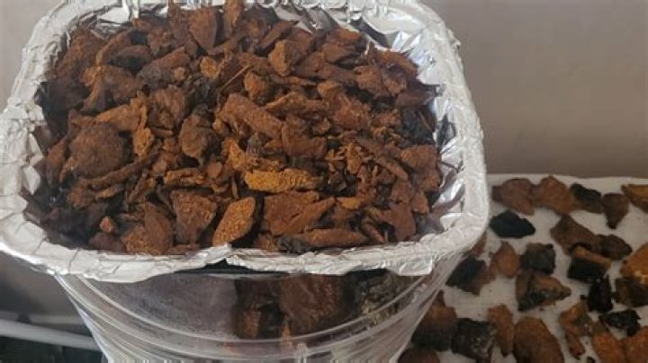 How much chaga is too much chaga?