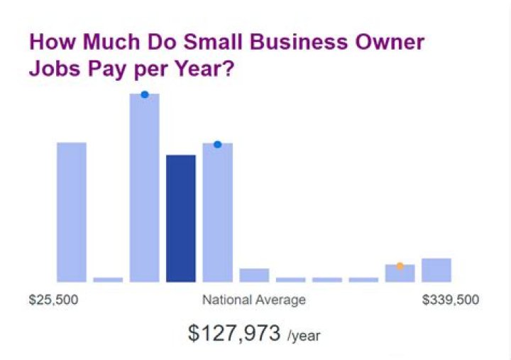 How much do small business owners make in USA?