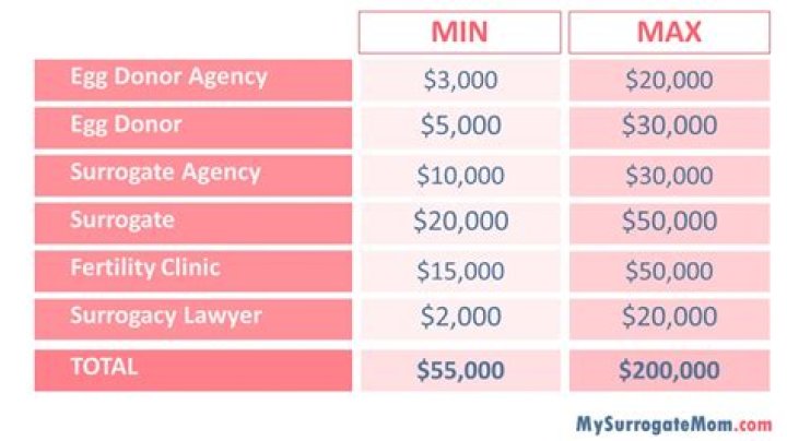 How much do surrogates make?
