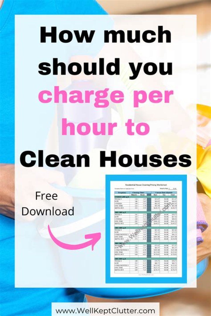 HOW MUCH DO technology consultants charge per hour?