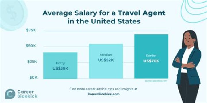 How much do travel consultants make a year?