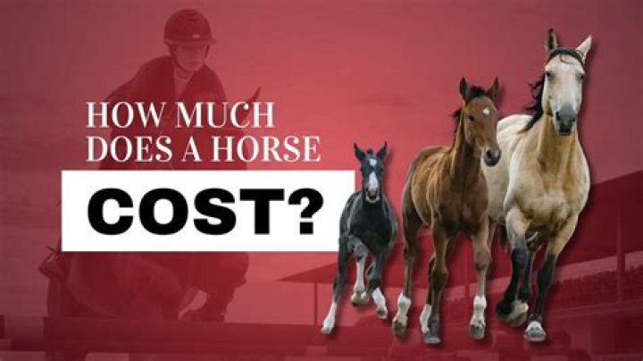 How much does a horse transporter make?