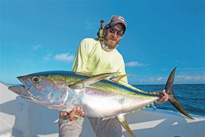 How much does a tuna fishing trip cost?