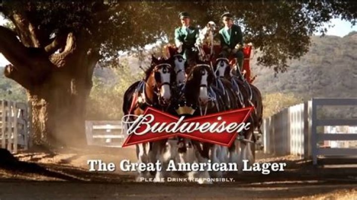 How much does Budweiser pay an hour?