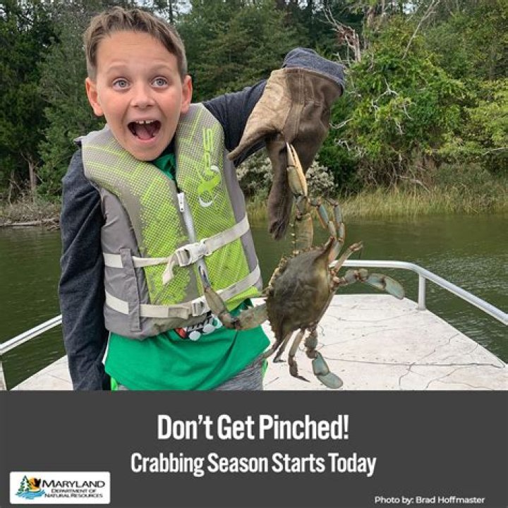 How much does Discovery Channel pay crab boats?