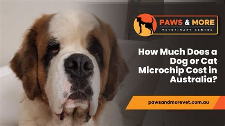 How much does it cost to have someone write your CV?