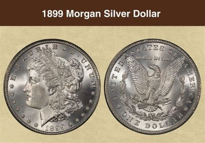 How much is a 1899 P Morgan Dollar worth?
