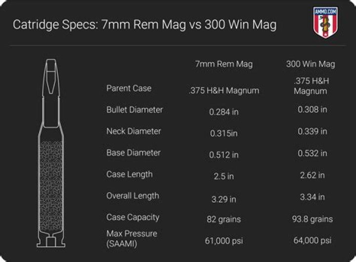How much is a 7MM mag worth?