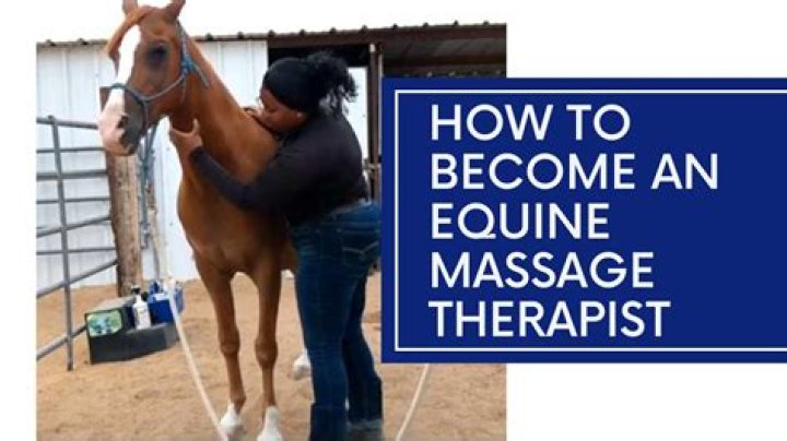 How much is an equine therapy session?