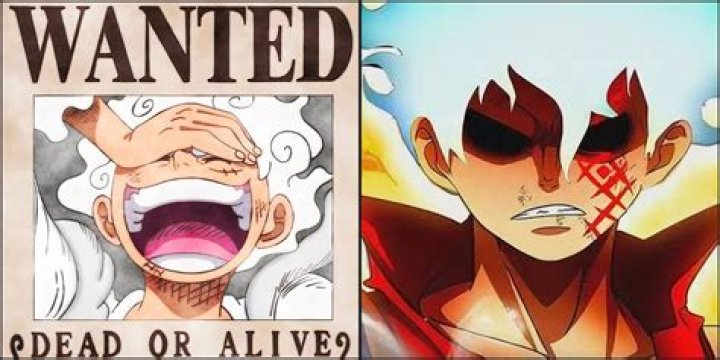 How much is Luffy's life shortened?