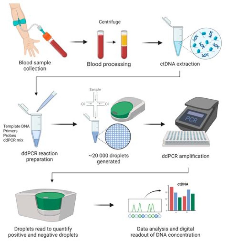 How much is PCR test in Philippines?