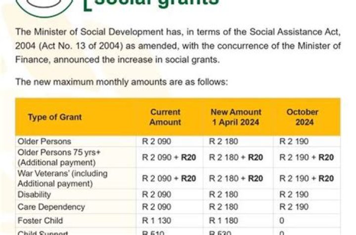 How much is the disability grant in South Africa?