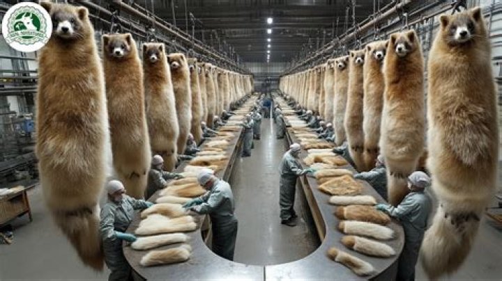 How much is the fur industry worth?