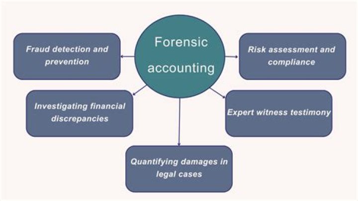 How much money do forensic accountants make?