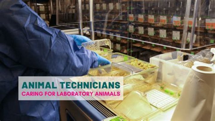 How much money does an animal technician make?