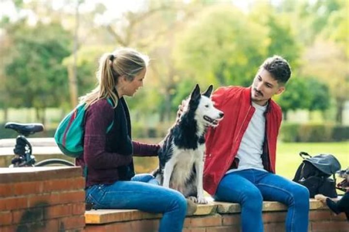 How much should you pay a friend to dog sit?