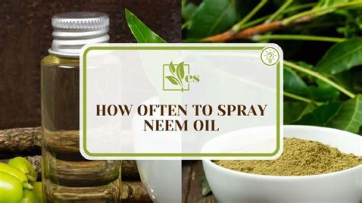 How often should I spray neem oil on my plants?