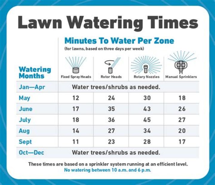 How often should I water my lawn in the summer?