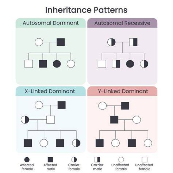 How should inheritance be split with mixed families?