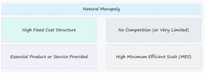 Is a natural monopoly rare?