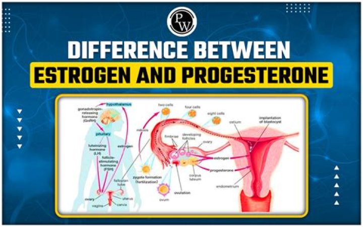 Is beetroot high in estrogen?