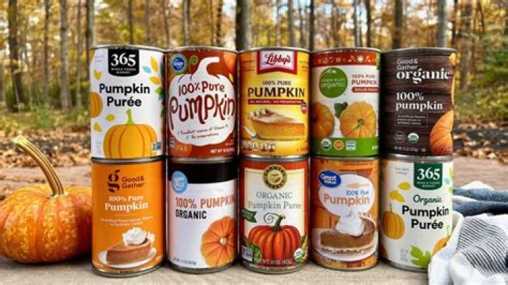 Is canned pumpkin OK for dogs?