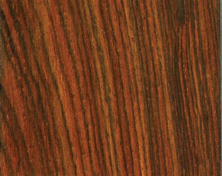 Is cocobolo banned?