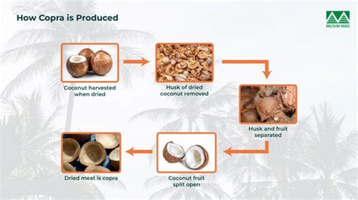 Is coconut coir business profitable?