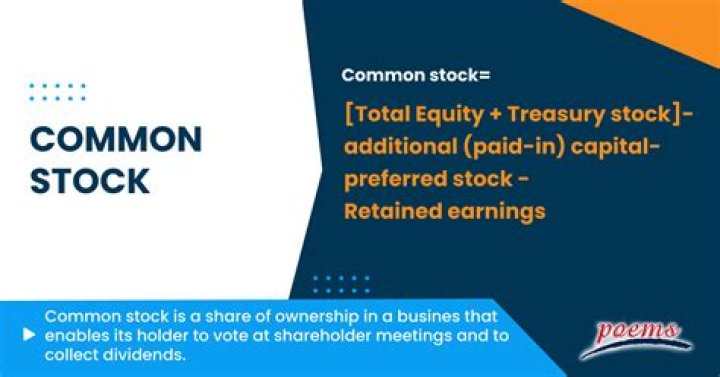 Is common stock price per share?