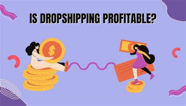 Is ecommerce dropshipping profitable?