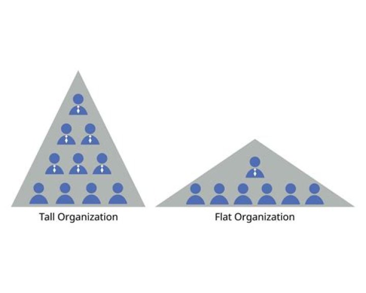 Is flat or tall organization better?