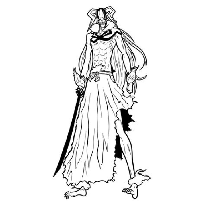 Is Hollow Ichigo a Vasto Lorde?