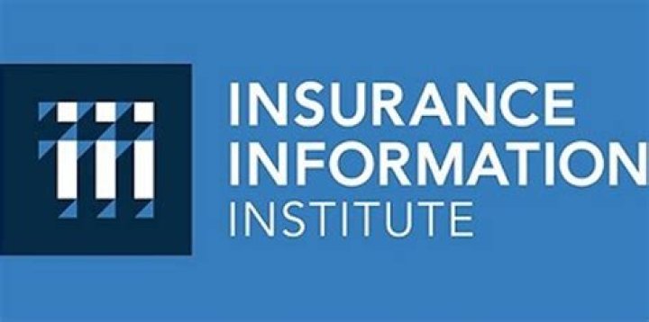 Is Insurance Information Institute a reliable source?