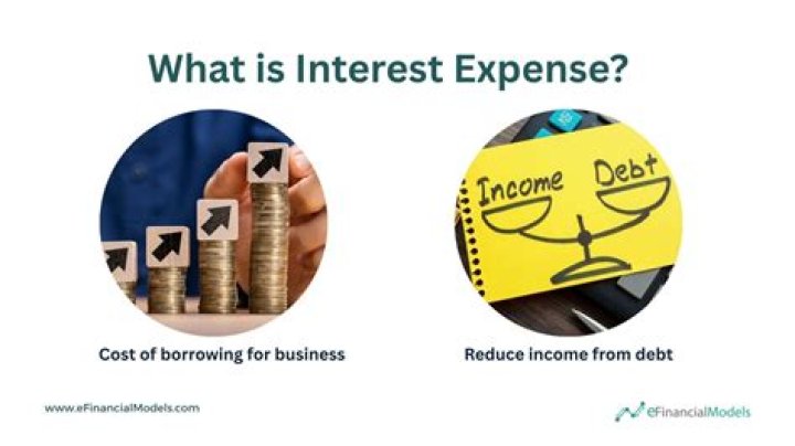 Is interest expense a cost of sales?