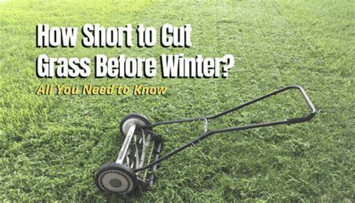 Is it better to cut grass short or long?