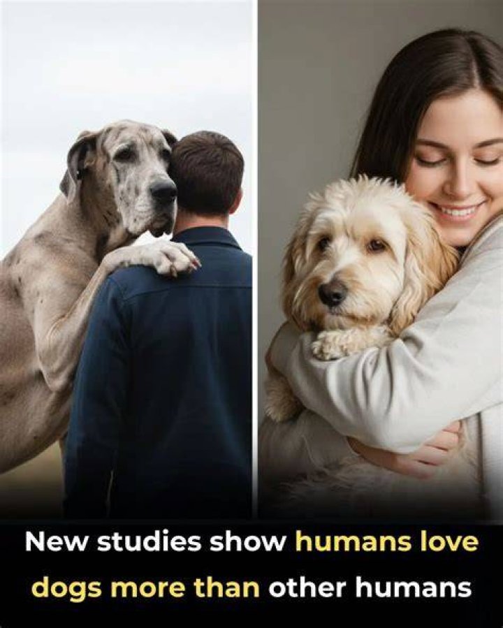 Is it normal to love dogs more than people?